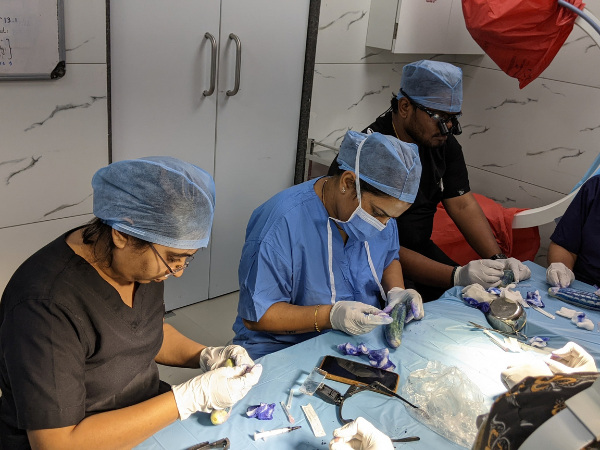 Best hair transplant in Athwa Surat Gujarat