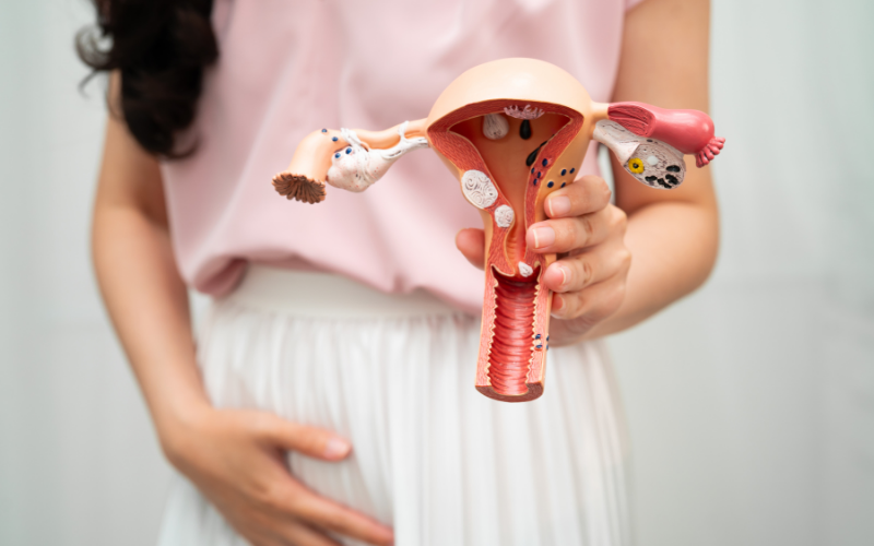 Learn Cosmetic Gynecology Procedures with Practical Training