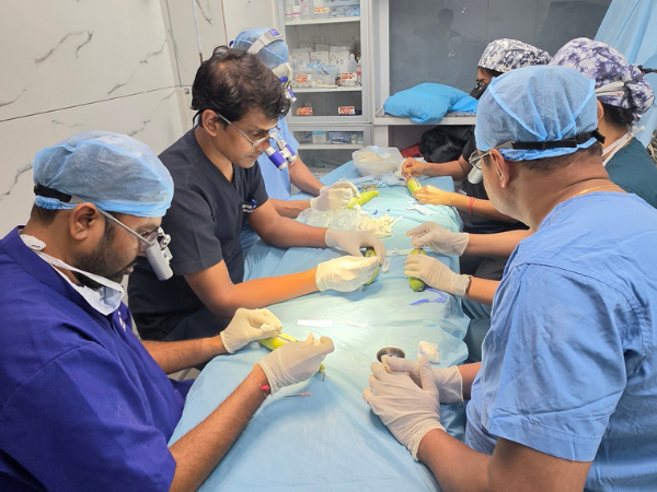 follicular-unit-graft-sorting-hair-transplant-training