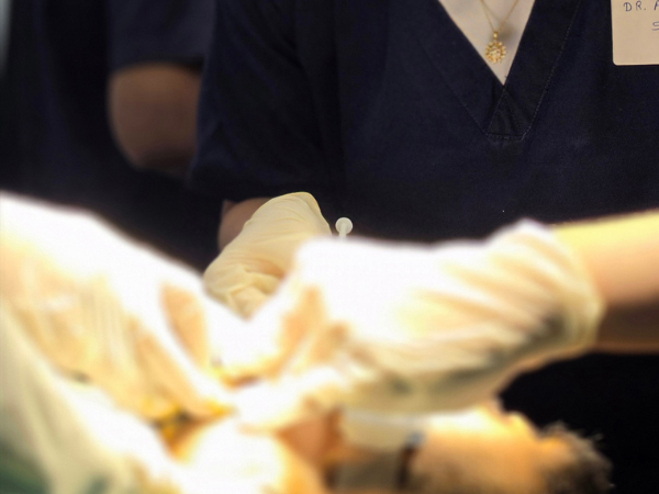 hair-graft-handling-closeup-clinical-workshop