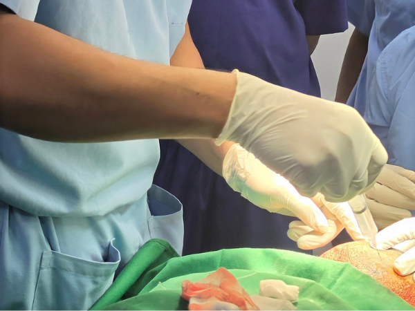 hair-restoration-graft-handling-closeup