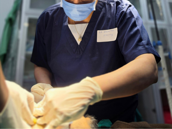 hair-restoration-graft-handling-practical-session