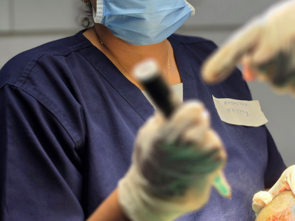 hair-restoration-patient-preparation-workshop