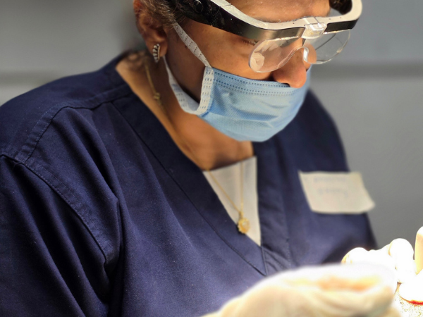 hair-transplant-doctor-precision-graft-handling-session
