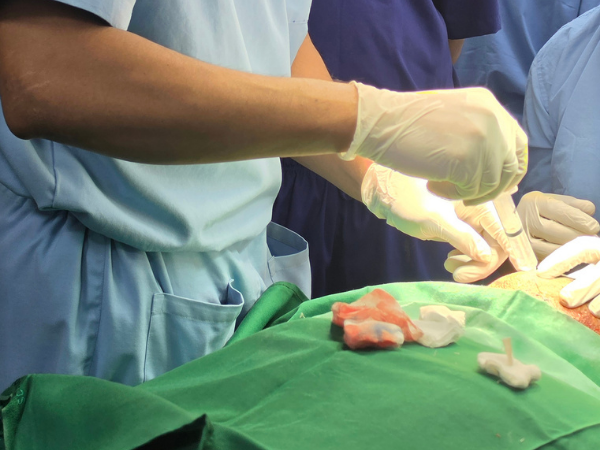 hair-transplant-graft-placement-procedure-close-up-training