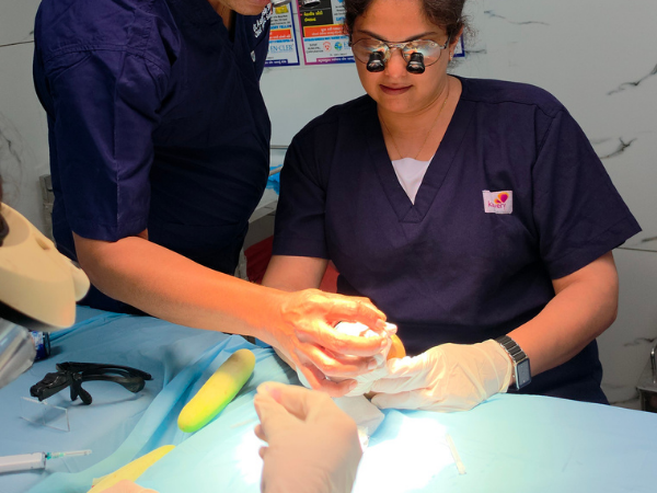 hair-transplant-practical-station-graft-preparation
