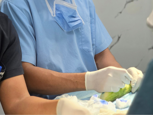 hair-transplant-surgeon-surgical-loupes-training-workshop