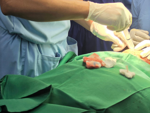 hair-transplant-surgical-instrument-training