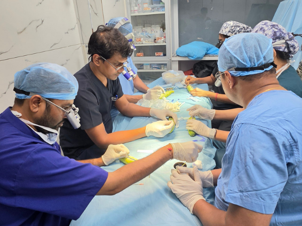 hair-transplant-training-instrument-practice