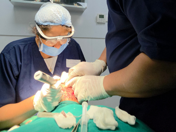 hairline-transplant-loupe-assisted-implantation